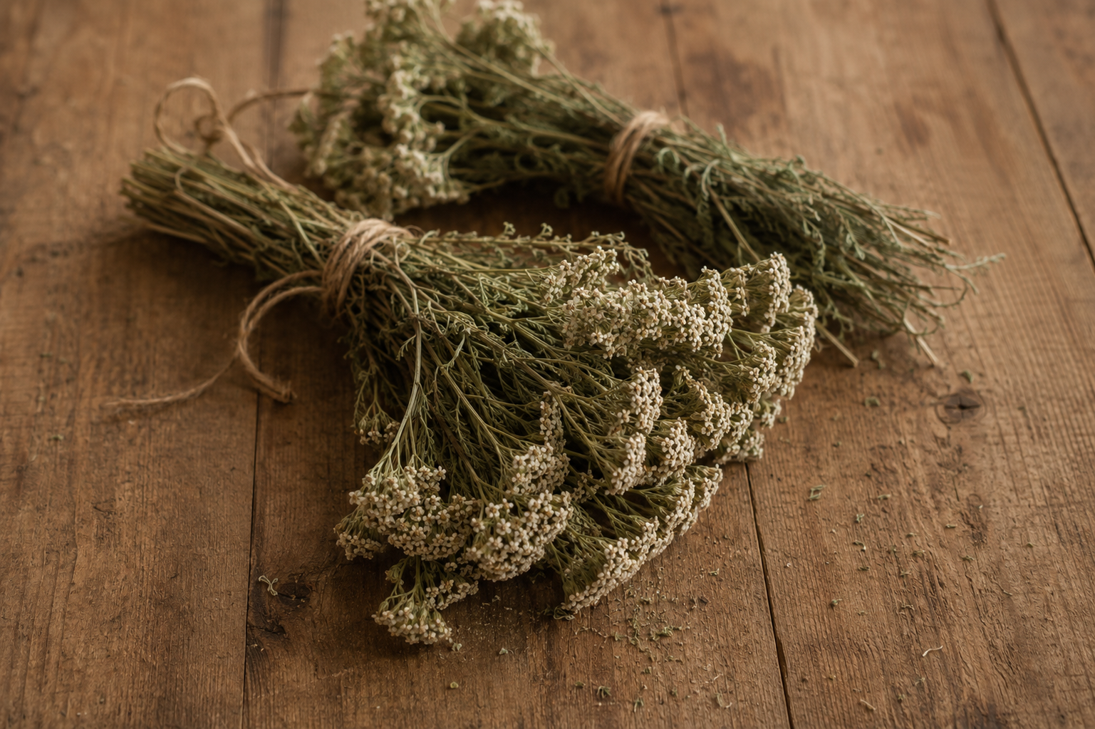 Two bundles of dried yarrow tied with twine, lying on weathered wood planks.